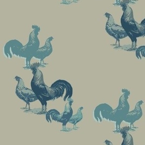 blue chickens slate