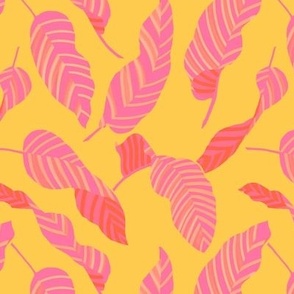 Mustard and Pink Striped Foliage