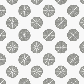 Sand Dollar Grey, Large Scale