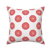 Sand Dollar Coral Red, Large Scale