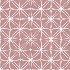 Starburst Geometric- Pink