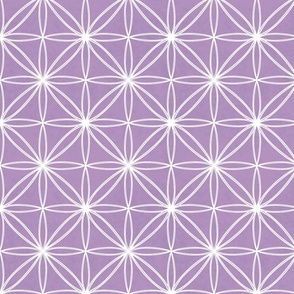 Starburst Geometric- Lavender