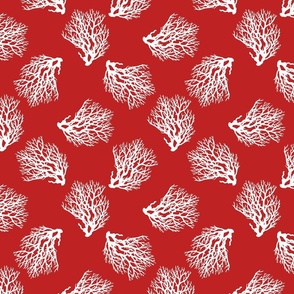 (large) Coastal Sea Coral in Red