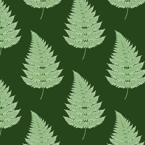 Having Fern Fern Frond Pattern in Green