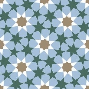 16411890 : U865E21 perfect5 : spoonflower0616