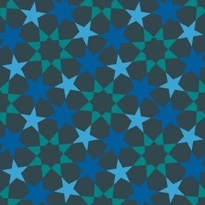 16412179 : U865E21 perfect5 : spoonflower0696