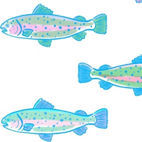 Rainbow trout