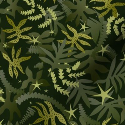 Forest Floor Ferns