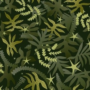 Forest Floor Ferns