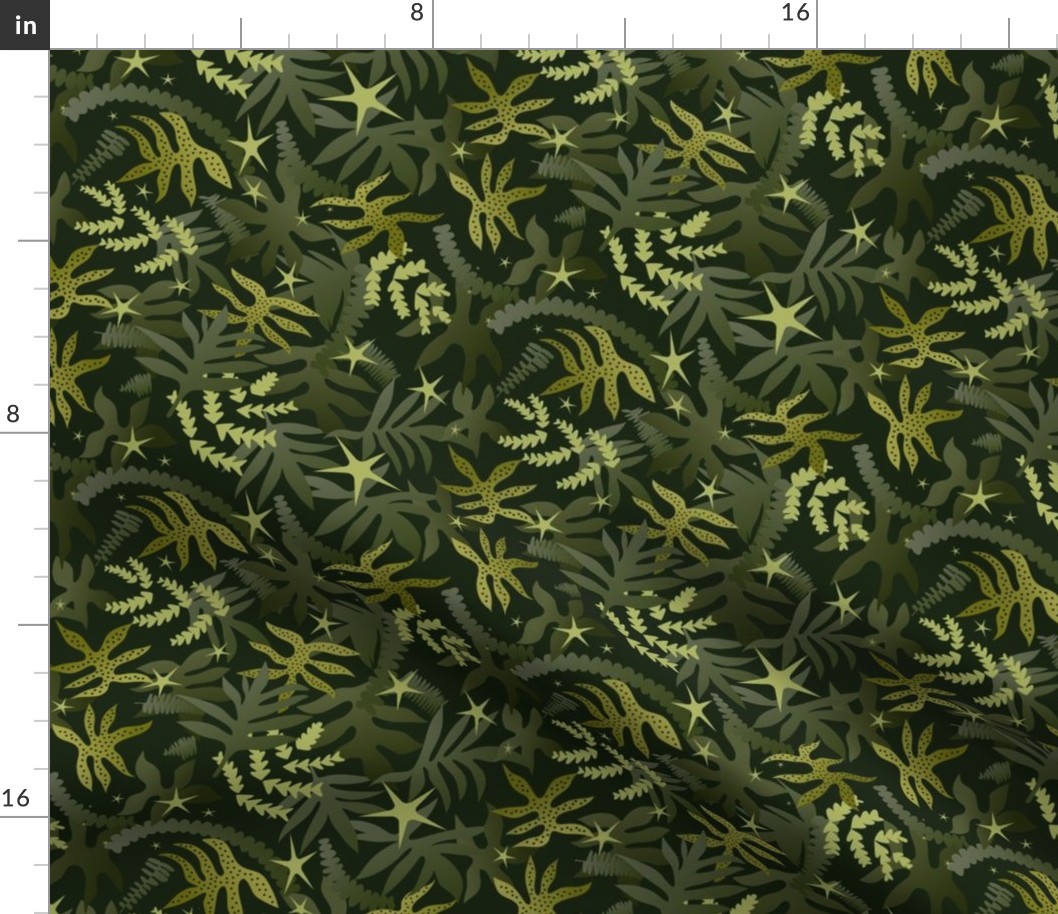 Forest Floor Ferns