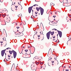 Valentine's Day Puppies