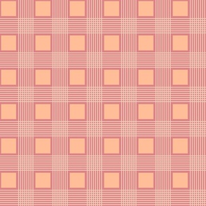 Checks Plaid peach