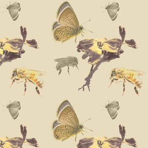 Large antique insects aesthetic 