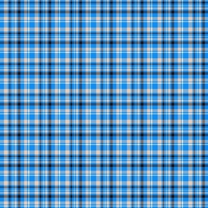 Blue checkered (tiny)