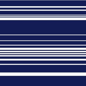 Complex Stripes in Navy Blue and White