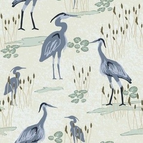 medium sized blue herons at the lake 