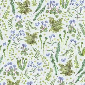 Ferns and Flora of Spring - Mint Tint - 50%