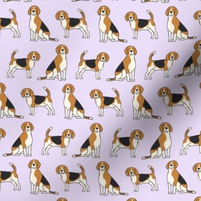 Beagles on Lavender Background