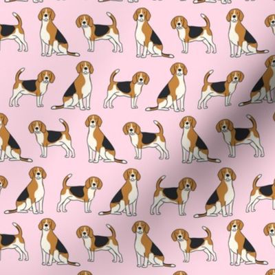 Beagle Dogs on Pastel Pink Background