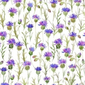 Watercolor Purple Blue Thistles Small Flowers