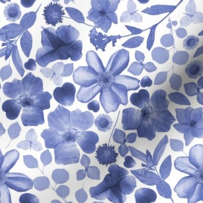 Real Pressed Flowers -8x8  Blue Hue