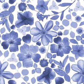 Real Pressed Flowers -8x8  Blue Hue