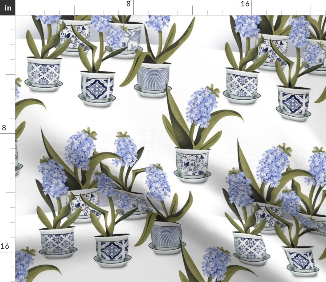 Hyacinth Pots on white