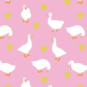 M. Country Geese on Powdery Pink