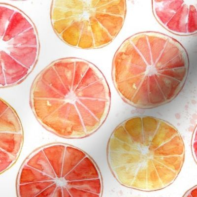 Sliced Grapefruit Watercolor on White