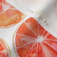 Sliced Grapefruit Watercolor on White