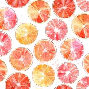 Sliced Grapefruit Watercolor on White