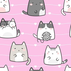 cute cats on pink