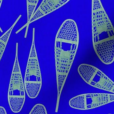 vibrant blue and green snowshoes