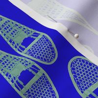 vibrant blue and green snowshoes