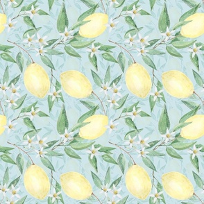 Citrus pattern with lemons and white flowers. 