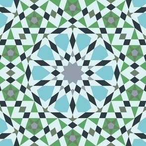 16422976 : UA5Vplus : spoonflower0709