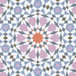 16422977 : UA5Vplus : spoonflower0719