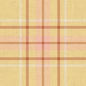 BenMoore 2024 Plaid honeybee yellow LARGE SCALE