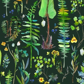 Ferns (dark green)