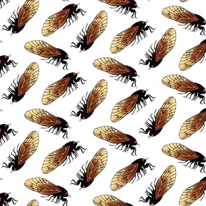 Cicada Emergence