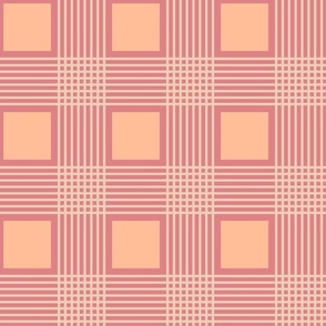 Checks Plaid Peach large