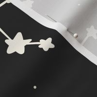 Zodiac Constellations Stars - Black and White (L)