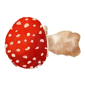 Watercolor mushroom in withe background