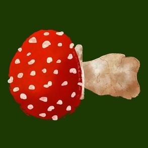 Watercolor Mushroom on Green background