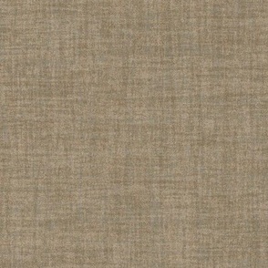 Celebrate Color Natural Texture Solid Brown Plain Brown Neutral Earth Tones _Hancock Gray Moss Brown 988B6F Subtle Modern Abstract Geometric