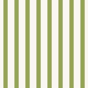Classic Stripe in Green 