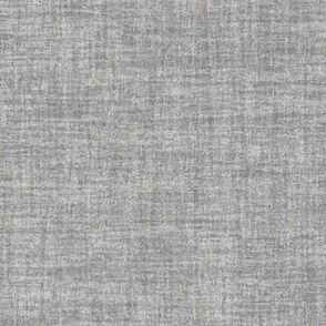 Celebrate Color Natural Texture Solid Gray Plain Gray Neutral Earth Tones _Stormy Monday Gray Violet AEABA9 Subtle Modern Abstract Geometric