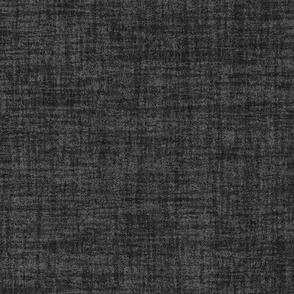 Celebrate Color Natural Texture Solid Gray Plain Gray Neutral Earth Tones _Graphite Deep Gray Black 444647 Subtle Modern Abstract Geometric