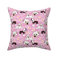 Chinese Crested Dog Peppa puppy with pink daisy flowers