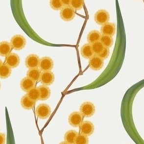 [Medium] ZigZag Wattle Yellow Wild Flowers